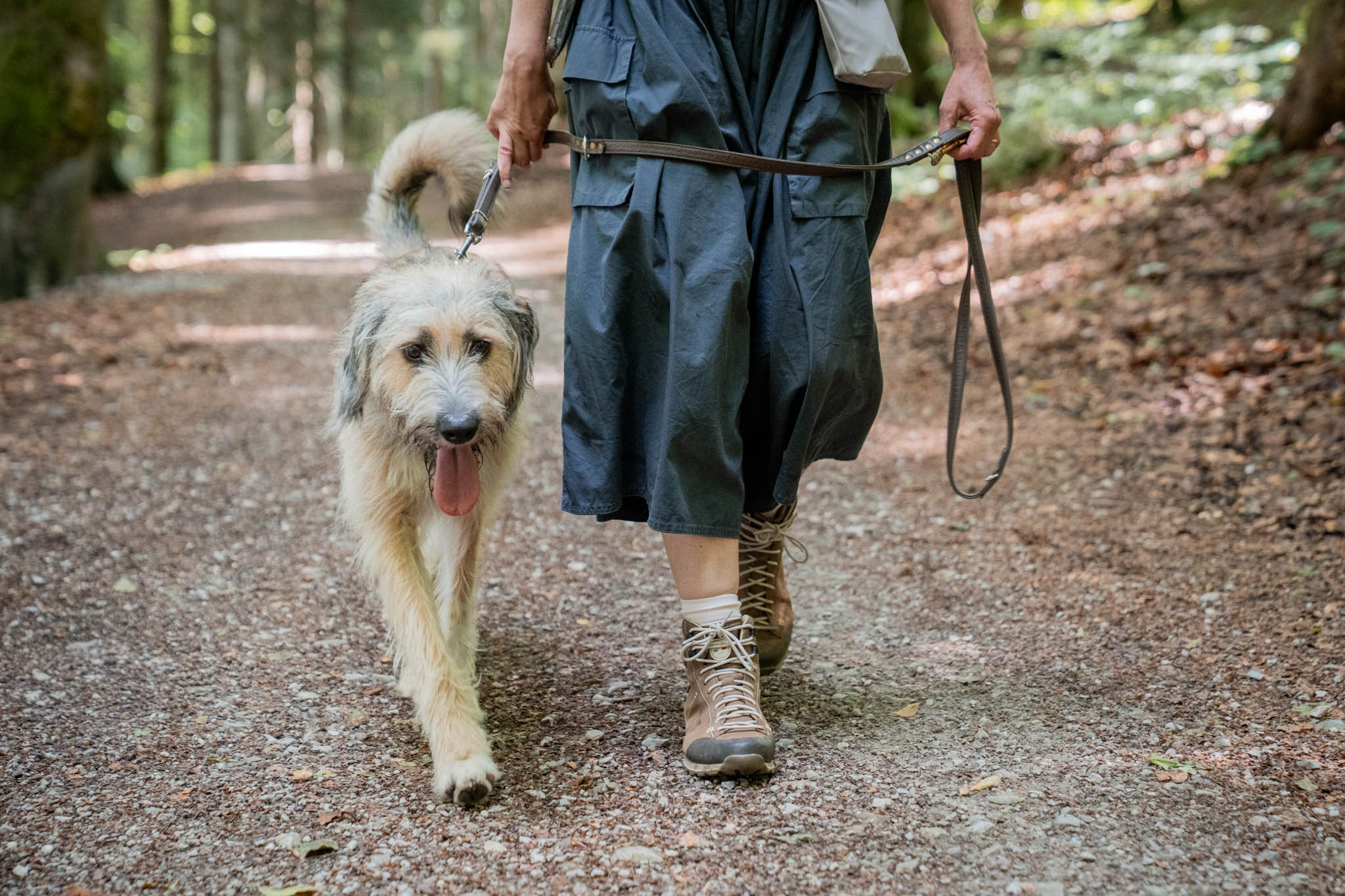 Spürnasen Walk