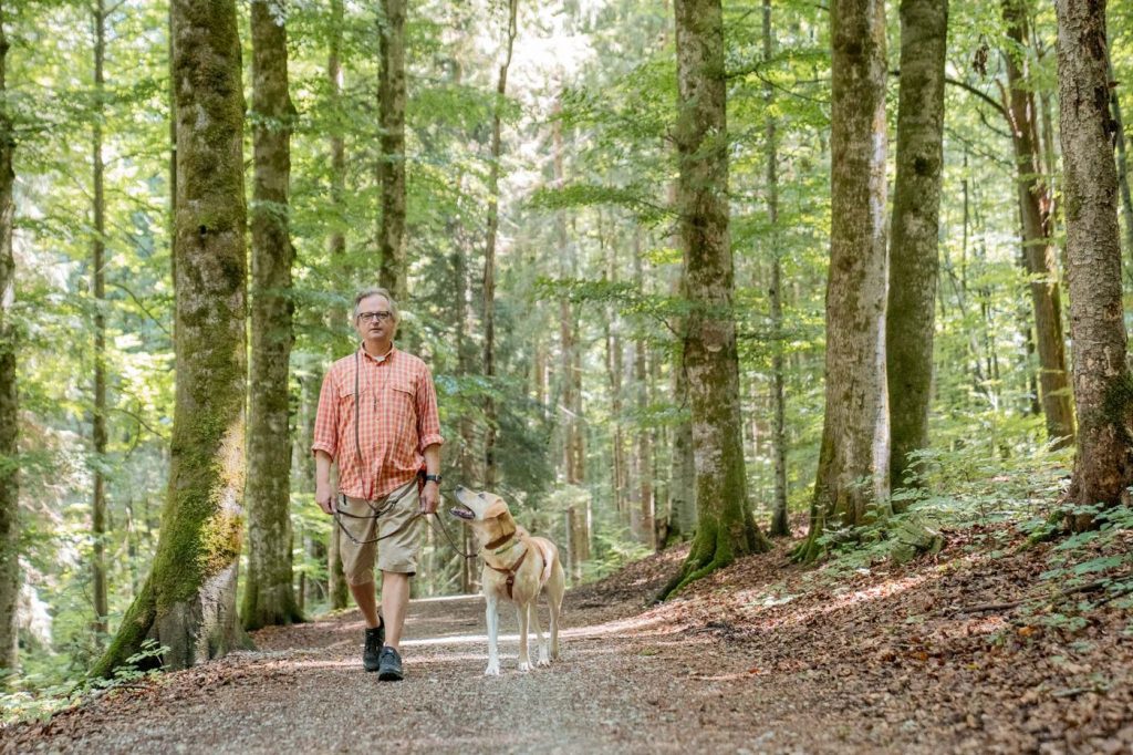 Gemeinsame Gassi-Runde im Wald bei Rottach-Egern