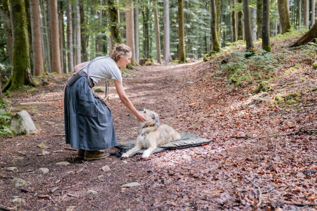 Hund liegt ruhig auf der Decke, die Halterin bestätigt ihn