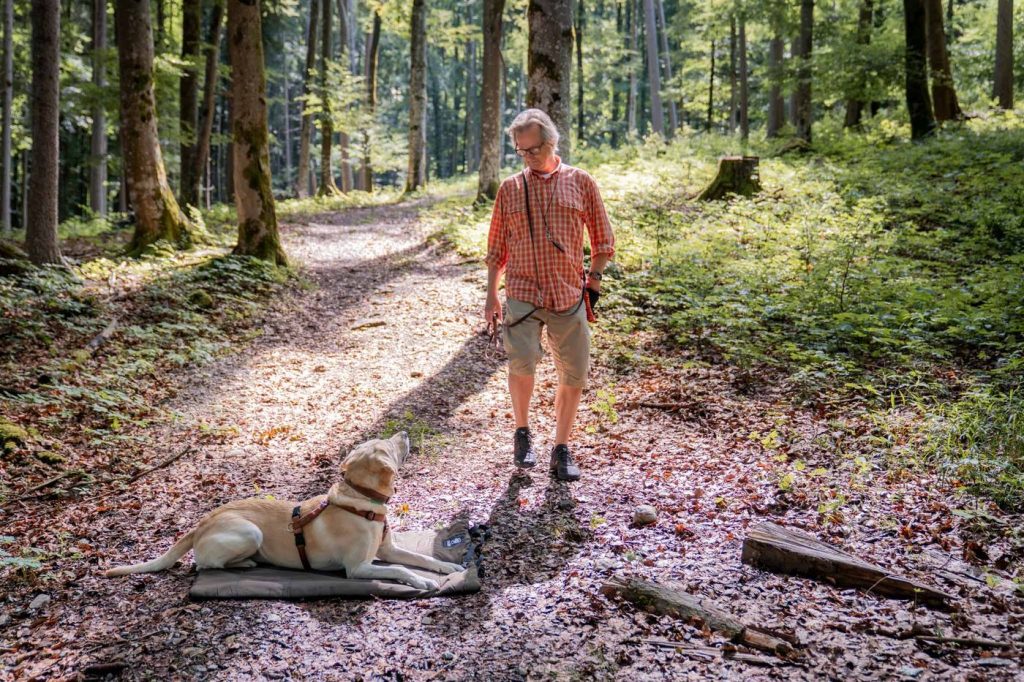 Halterin entfernt sich, der Hund bleibt entspannt auf der Decke liegen