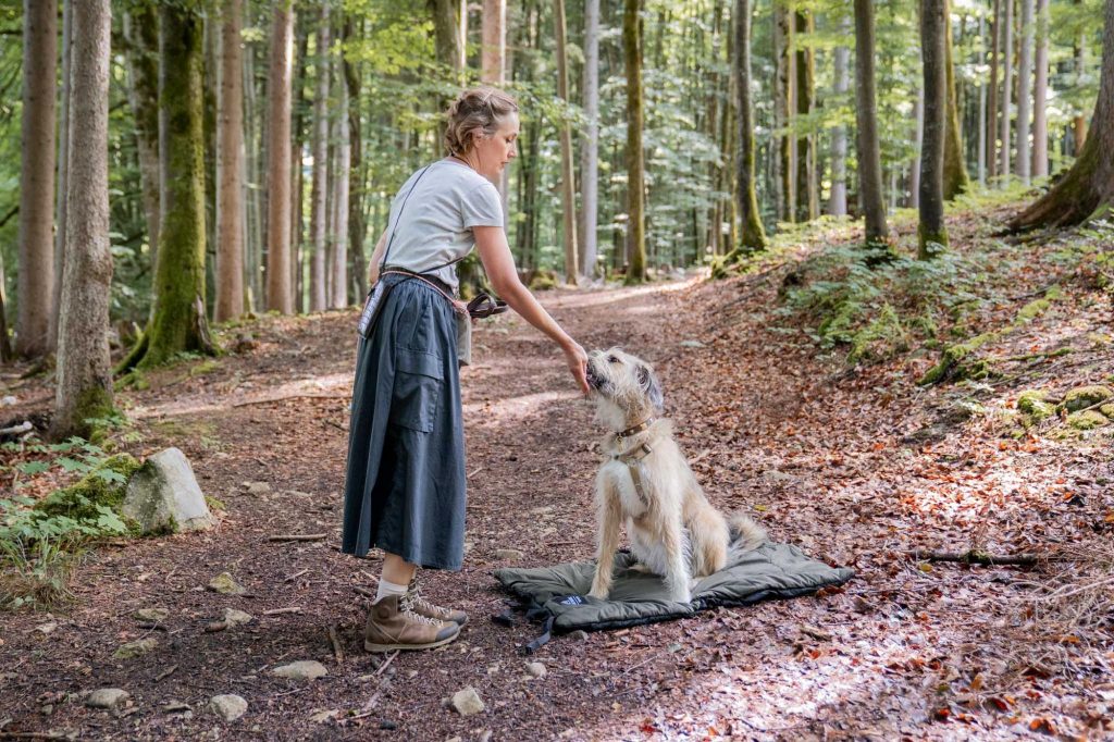Grundlagentraining für Hunde ohne Vorkenntnisse am Tegernsee: ruhiges Deckentraining im Wald
