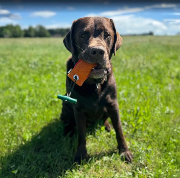 Esther mit ihrem Hund Aaron beim Dummytraining