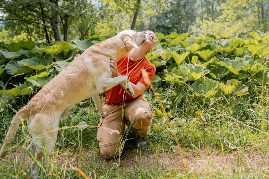 Labrador Luke begrüßt Corinna-Helen Wilhelm freudig
