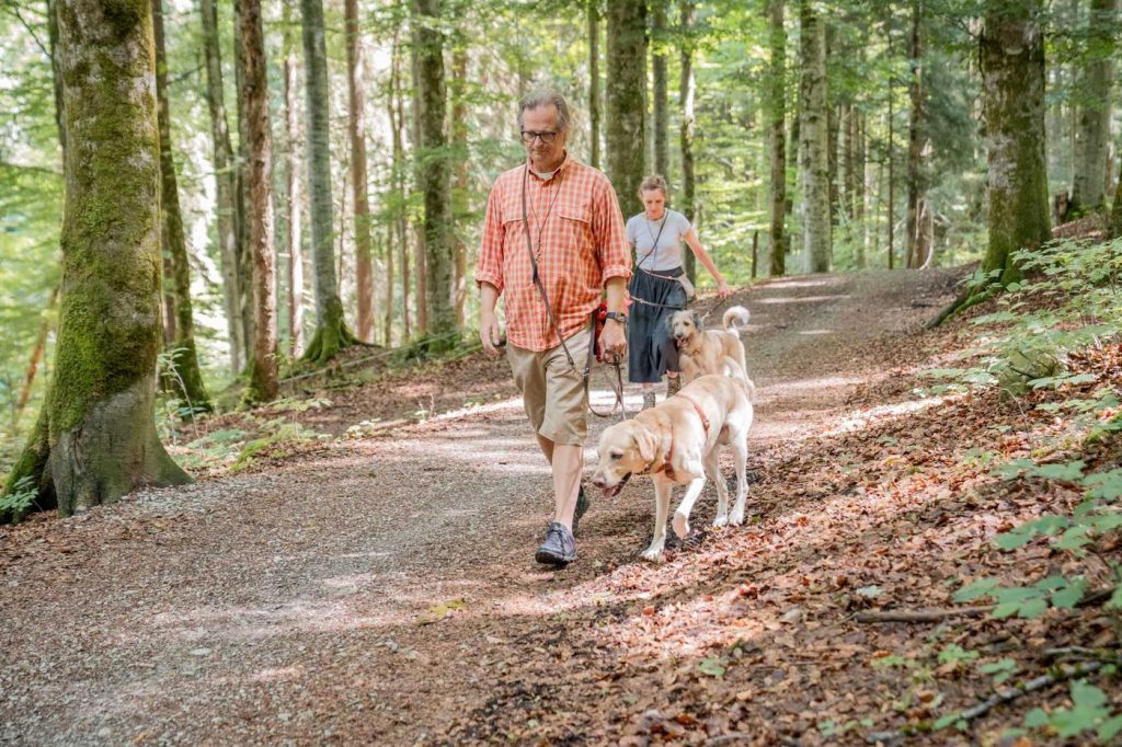 Zwei Mensch-Hund-Teams begegnen sich entspannt auf dem Waldweg