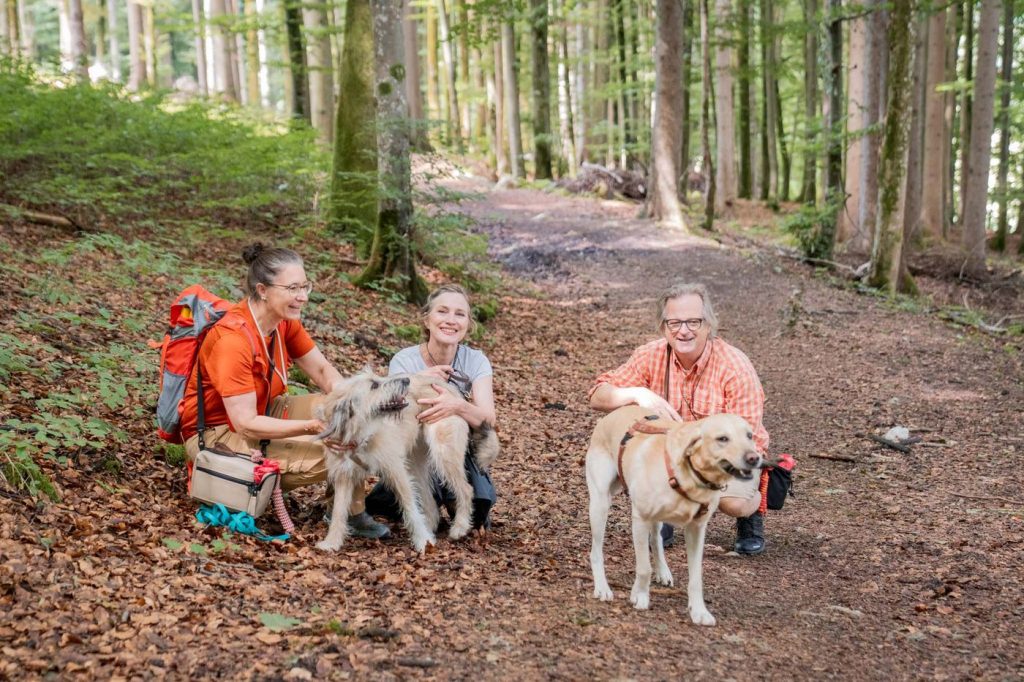 Kleine Gruppe mit ihren Hunden beim Spürnasen-Walk im Tegernseer Tal