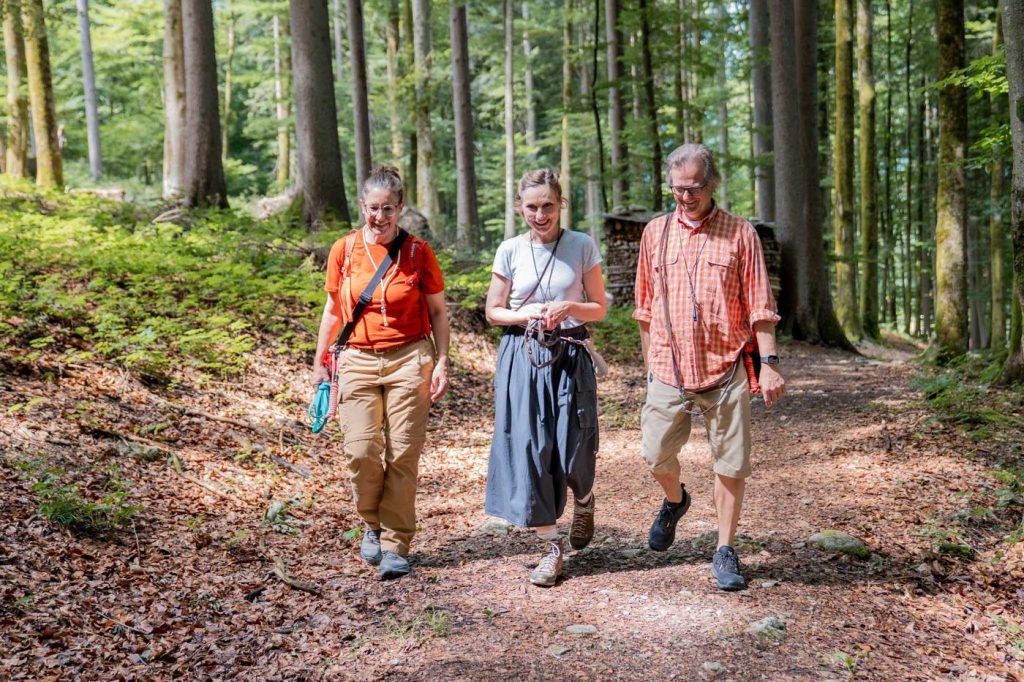 Teilnehmende sind gemeinsam mit ihren Hunden im Wald unterwegs