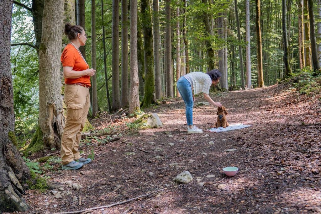 Corinna-Helen Wilhelm leitet eine Hundehalterin beim Deckentraining an