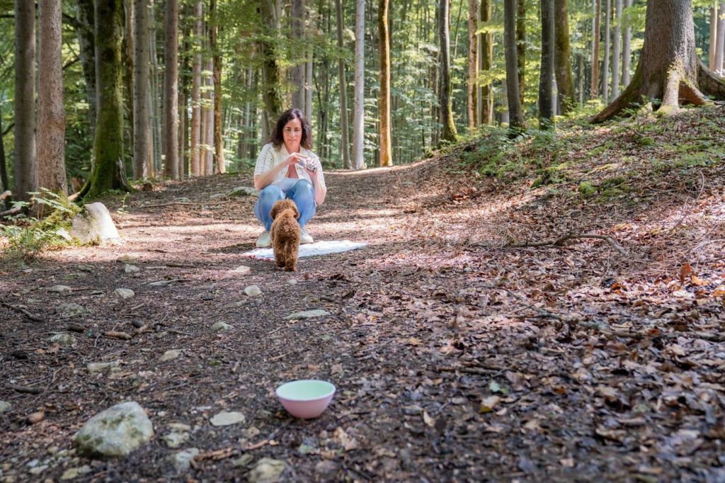 Erste Übungen mit einem jungen Hund auf einem Waldweg am Tegernsee